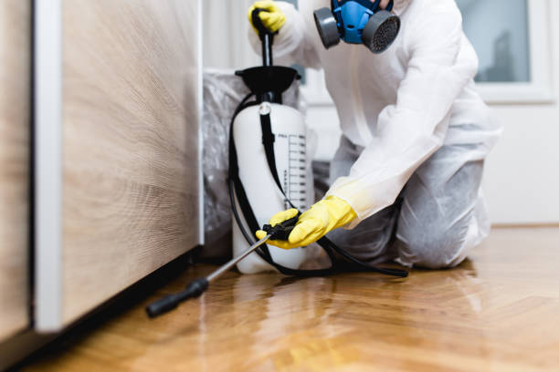 Best Pest Inspection Near Me  in Sheridan, IL