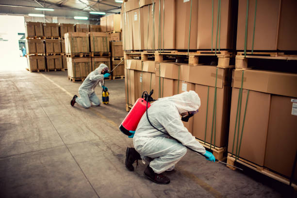 Best Rat Extermination Near Me  in Sheridan, IL