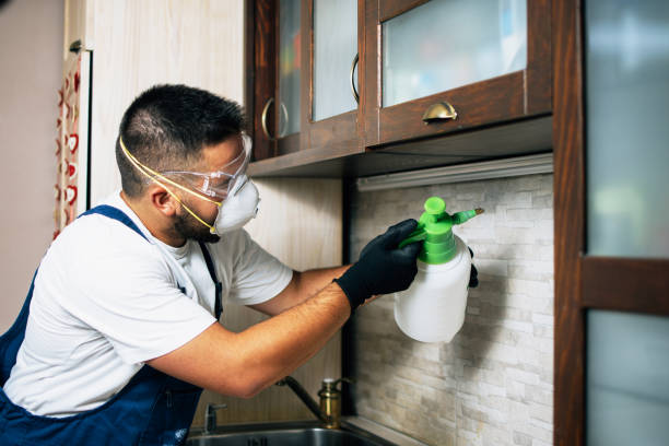 Best Wildlife Control Services  in Sheridan, IL