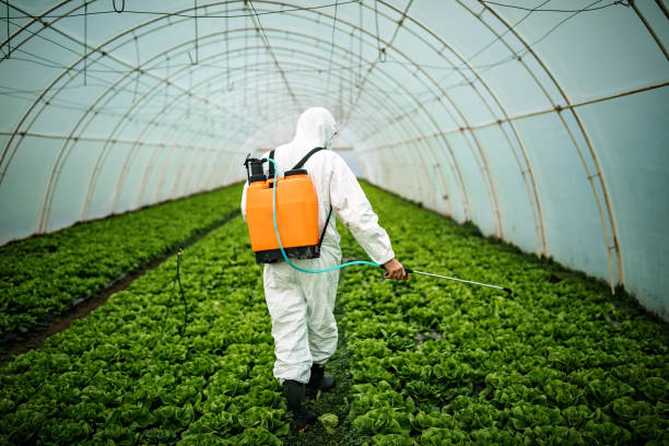 Best Emergency Pest Control  in Sheridan, IL