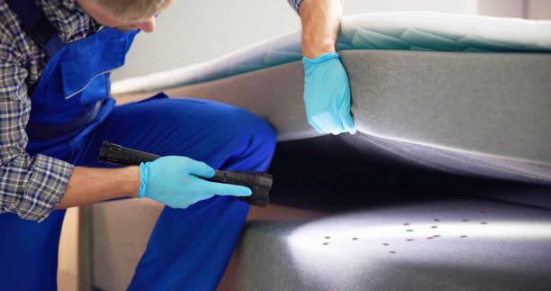 Best Insect Control  in Sheridan, IL