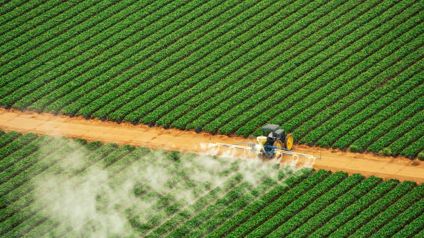 Best Best Pest Control Companies  in Sheridan, IL