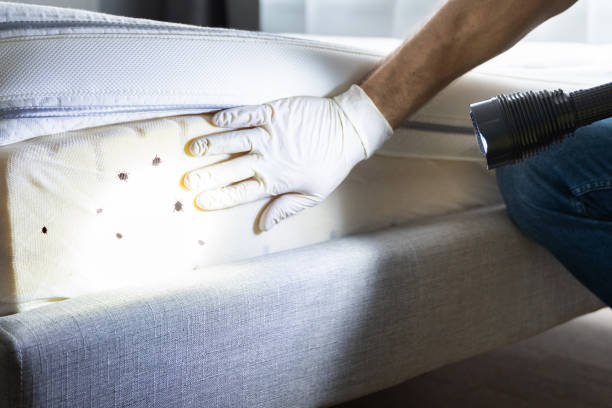 Professional Pest Control in Sheridan, IL