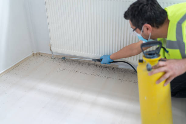 Best Affordable Exterminators  in Sheridan, IL